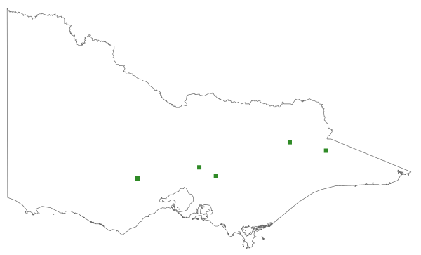 Distichium capillaceum (distribution map)
