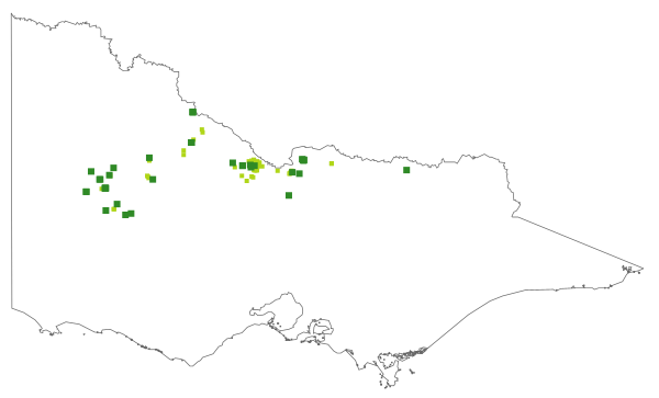 Swainsona murrayana (distribution map)