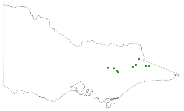 Senecio nigrapicus (distribution map)
