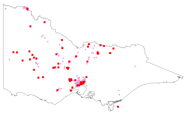 Lepidium draba (distribution map)