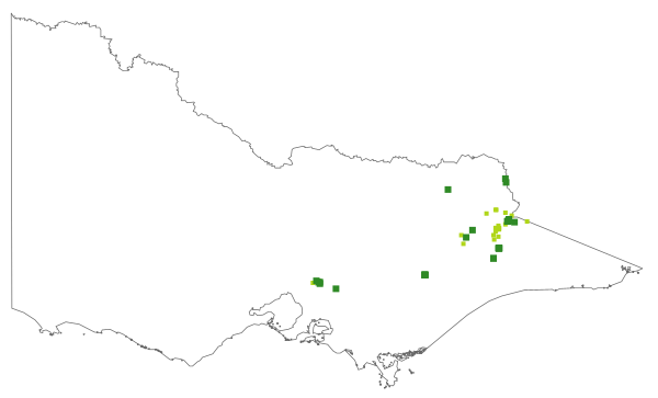 Pimelea pauciflora (distribution map)
