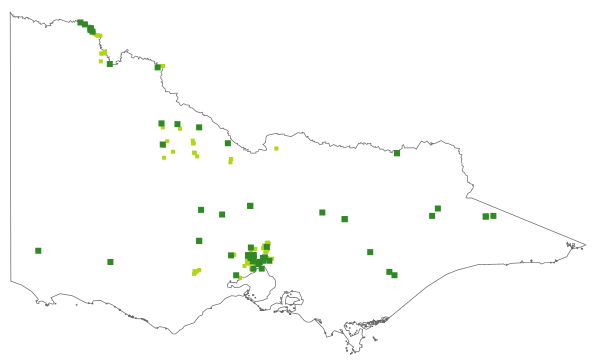 Cullen tenax (distribution map)