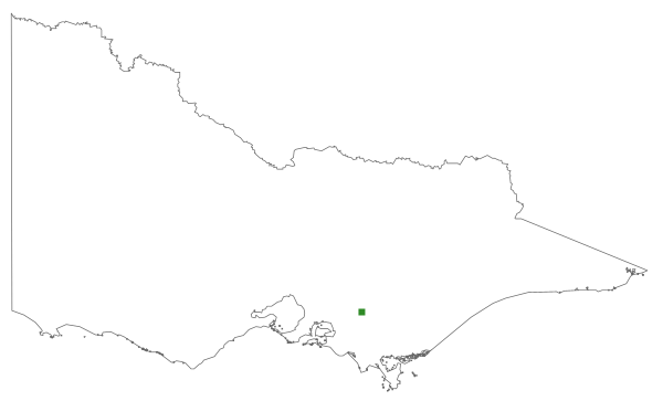 Rhodobryum aubertii (distribution map)