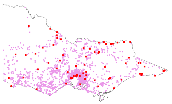 Rumex conglomeratus (distribution map)