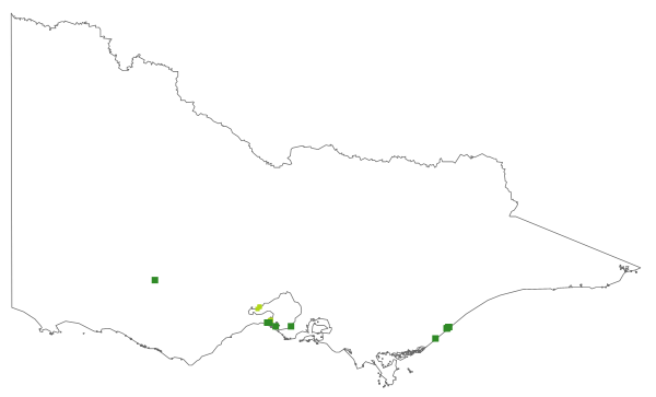 Althenia marina (distribution map)