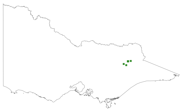 Carex hypandra (distribution map)
