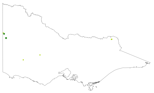 Pultenaea acerosa (distribution map)