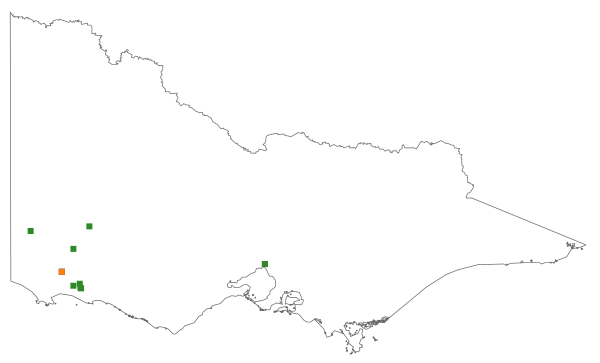 Dianella callicarpa (distribution map)