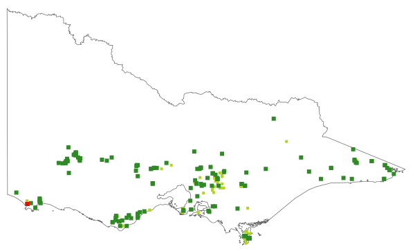 Dicranoloma billarderii (distribution map)