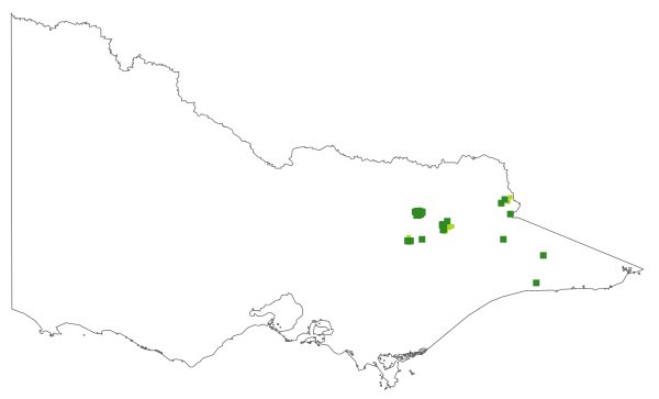 Coronidium waddelliae (distribution map)