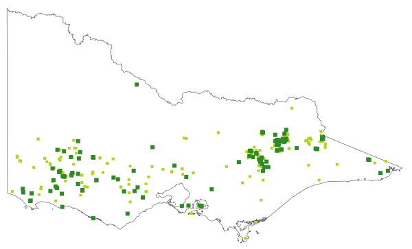 Agrostis venusta (distribution map)
