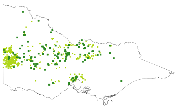 Juncus radula (distribution map)