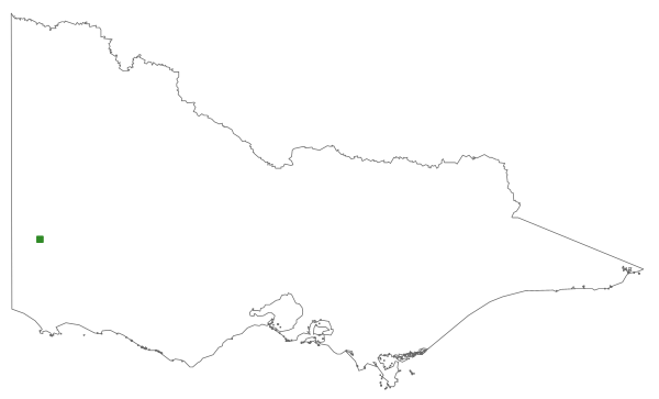 Cassinia tegulata (distribution map)