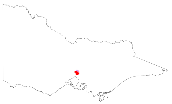 Nassella charruana (distribution map)