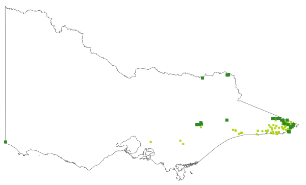 Patersonia sericea (distribution map)
