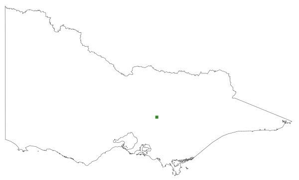 Rosulabryum microrhodon (distribution map)
