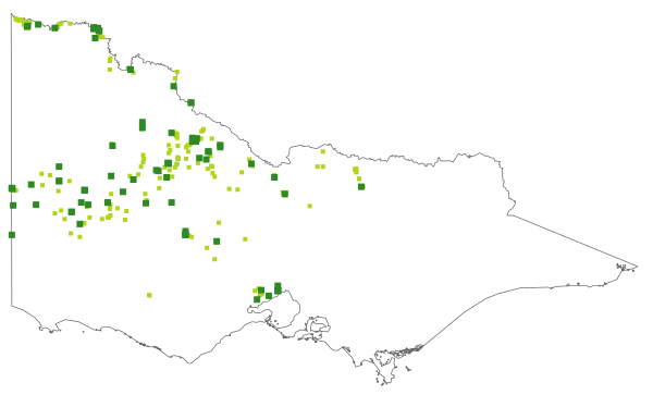 Goodenia heteromera (distribution map)