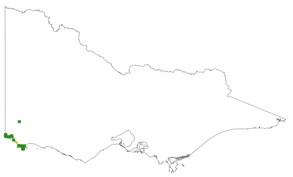 Acrotriche cordata (distribution map)