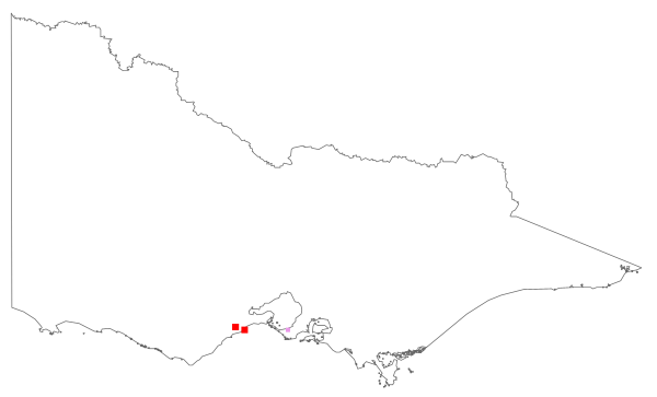 Melaleuca viminea (distribution map)