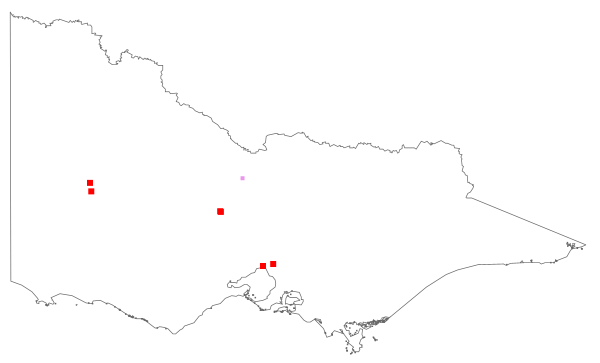 Echinochloa frumentacea (distribution map)