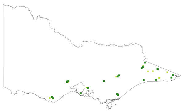 Thelymitra circumsepta (distribution map)