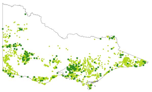 Cassytha pubescens (distribution map)