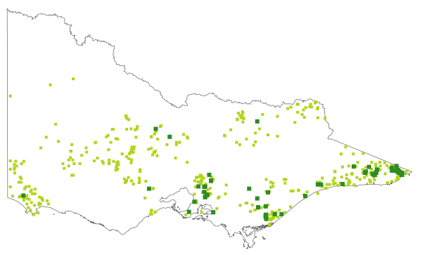 Caladenia catenata (distribution map)
