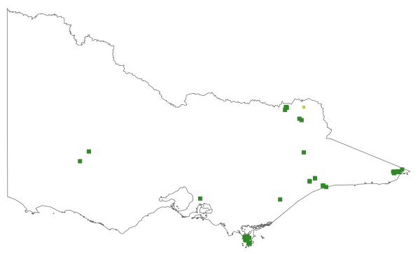 Pterostylis tunstallii (distribution map)
