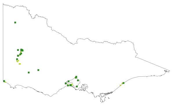 Triglochin mucronata (distribution map)