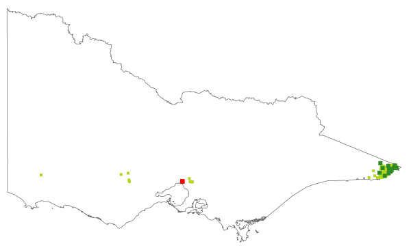 Corymbia gummifera (distribution map)