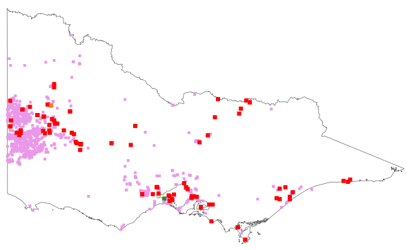 Ehrharta calycina (distribution map)