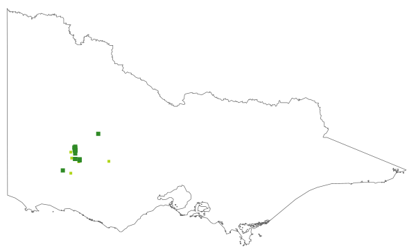 Platylobium alternifolium (distribution map)