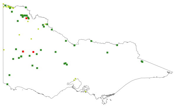 Bromus arenarius (distribution map)