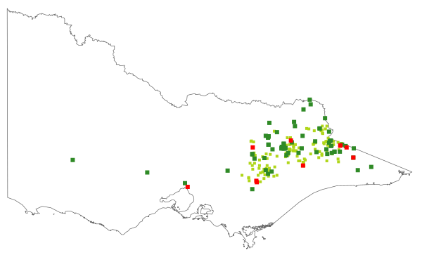 Picris angustifolia subsp. merxmuelleri (distribution map)