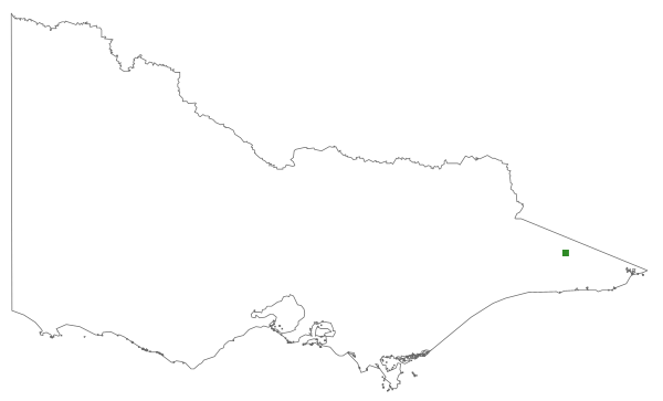 Bryum coronatum (distribution map)