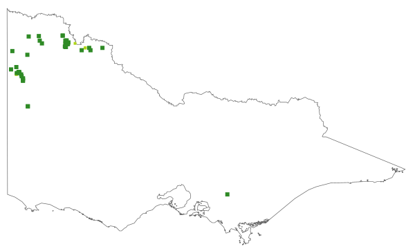 Comesperma scoparium (distribution map)