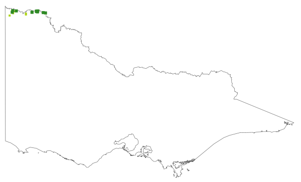 Eremophila polyclada (distribution map)