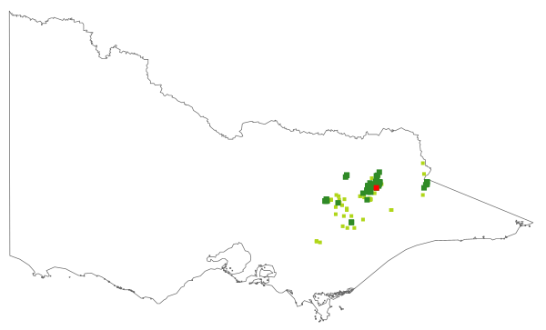 Brachyscome nivalis (distribution map)