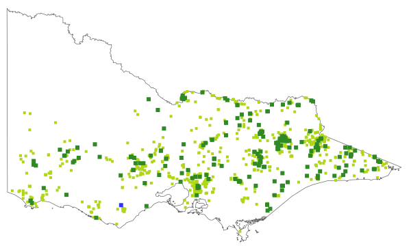 Carex gaudichaudiana (distribution map)