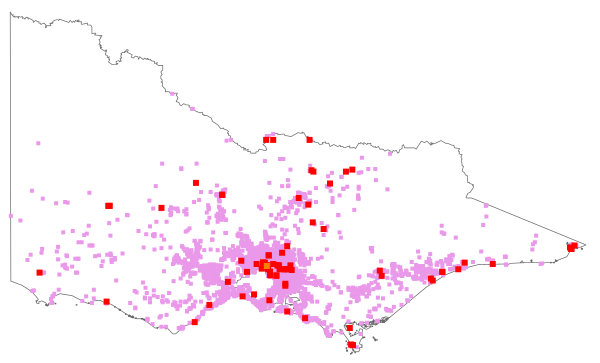 Ehrharta erecta (distribution map)