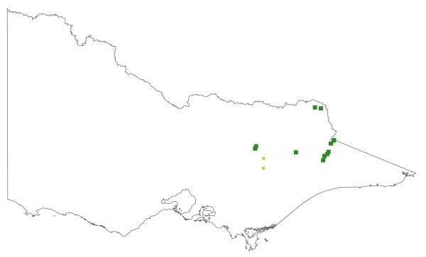 Senecio interpositus (distribution map)