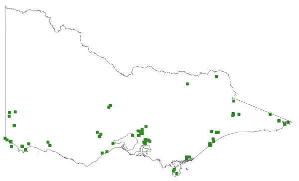 Prasophyllum frenchii (distribution map)