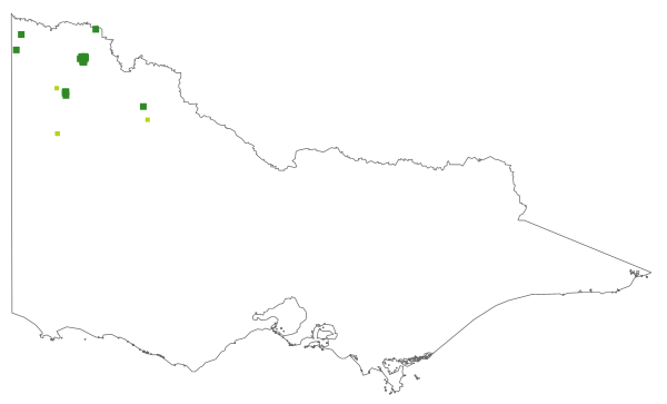 Trichanthodium skirrophorum (distribution map)