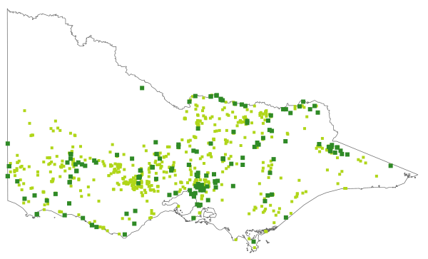 Isotoma fluviatilis (distribution map)
