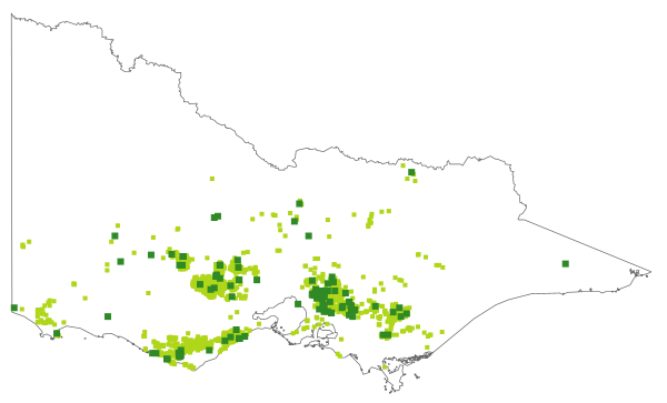 Goodenia lanata (distribution map)