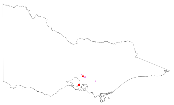 Tritonia crocata (distribution map)
