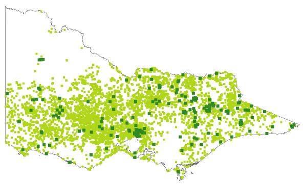 Anthosachne scabra (distribution map)