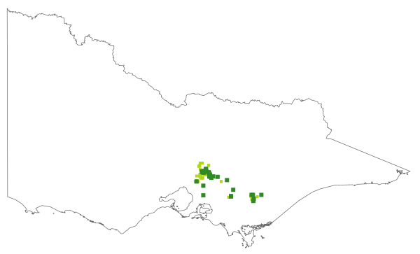 Pomaderris vacciniifolia (distribution map)