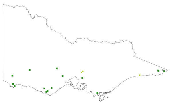 Calochilus herbaceus (distribution map)
