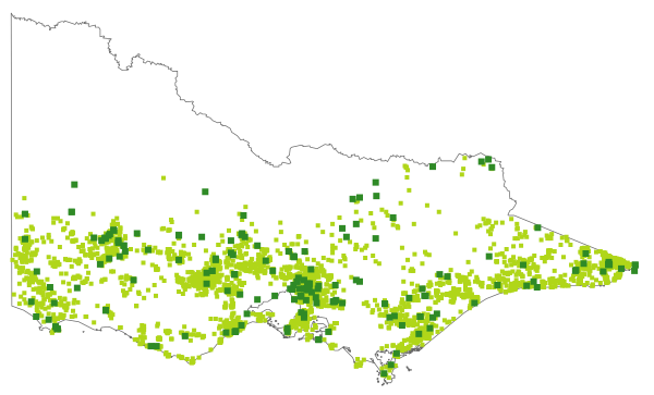 Bossiaea prostrata (distribution map)